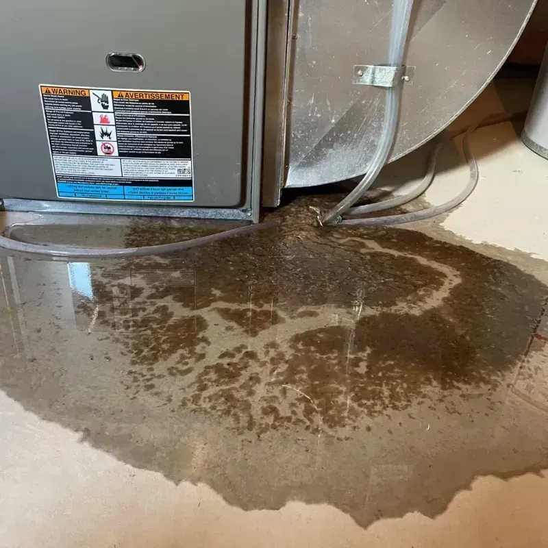 Appliance Leak Cleanup in Faulkton, SD